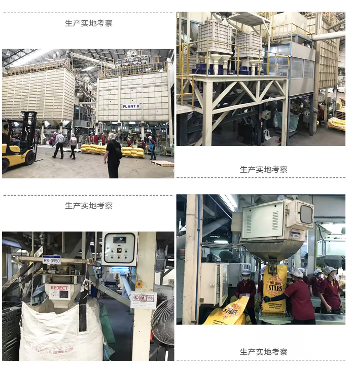 杰曼實地考察泰國合作伙伴