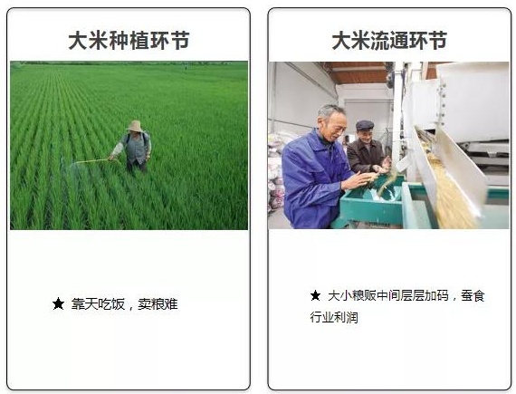 坤湛科技獲首輪融資2000萬美金后：攜手杰曼科技助力大米數字化轉型