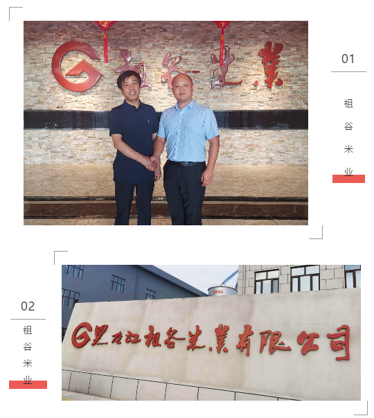 百舸爭流立潮頭：湖南金飯碗米業和哈爾濱祖谷米業簽約成為大米數字化轉型樣板 