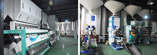 百舸爭流立潮頭：湖南金飯碗米業和哈爾濱祖谷米業簽約成為大米數字化轉型樣板 