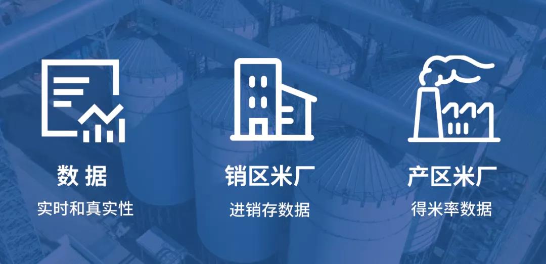 百舸爭流立潮頭：湖南金飯碗米業和哈爾濱祖谷米業簽約成為大米數字化轉型樣板 